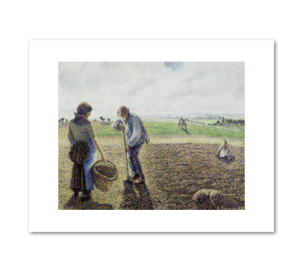 Camille Pissarro, Peasants in the Fields, Eragny, 1890, Albright-Knox Art Gallery, Buffalo, NY. Fine Art Prints in various sizes by 1000Artists.com