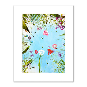 Alexis Rockman, Untitled (Meadow), 2013, Fine Art Prints in various sizes by 1000Artists.com